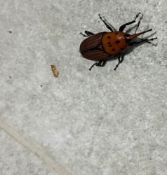 ce04f9da-06ac-423c-9f95-1a1a98ecaa27