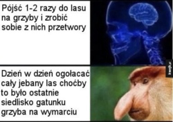 30969b3c-a8ac-48e2-a911-effe0432be3a