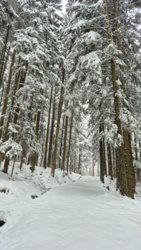 df11644a-6fb4-4056-aecb-6971eae7dad8