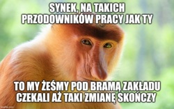 ff55ac0e-ad70-48ab-b110-8cb61d63d4db