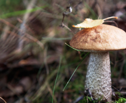 74b573f6-6784-4b33-bf06-724ab0c43aa2