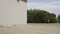 fe9ed953-5a47-4268-86d8-e188d569ee26