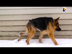 1450f021-0155-43c9-b019-cc1fb6eda344