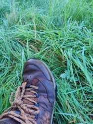 f62e6d47-4cae-49e7-95c1-3360a6d48ac0