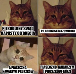 56a87e5a-62a0-4673-9bf4-3bcac20494c7