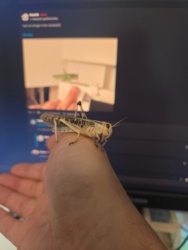 d5fa9a62-1120-4089-8cc2-5962fb295b97