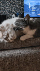 31a81f12-5991-4f91-a4c9-ee4c4822b5c1