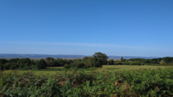 067e6cb9-8d44-4112-b4e1-b723077a3c9d