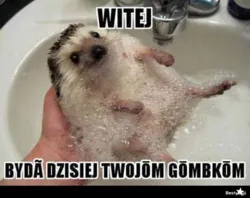 fd9bb616-1ba3-40f4-8a3f-0e31ce944cc6