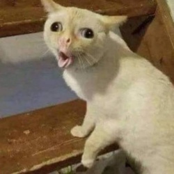 52299391-0c4d-4bd6-8ac2-c385e268db3b