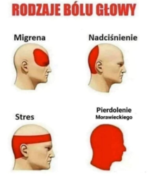 51fe03a0-bfd6-4003-a8c8-c1d4341f334c