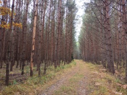 18810281-c27d-4227-8c48-70b9909f94bb