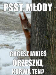 0c585eda-3b7a-497a-bdb2-e942e29b5f13