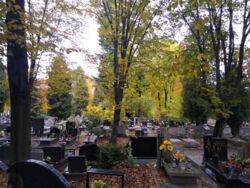 35ca0cf3-3deb-4f0e-b224-45c221a27bed