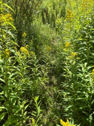 1418a1aa-60da-45c9-a2e9-cf48fc5f0329