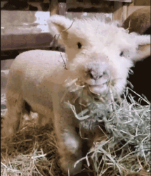 b211d23b-23f0-4051-b4d8-33295521f6b0