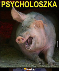 c6d014a0-777a-4e40-80f8-cb680ab720d1