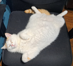 1e6fcfbf-dfa9-4614-87d4-804a164b64a0