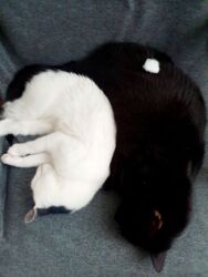 7fca7a6a-1bd1-4443-9dad-8603ff542e91