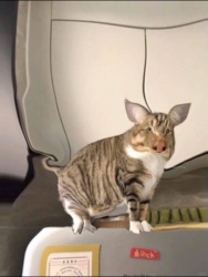 b3285ec8-3df4-4c8b-a214-c65538d849ef