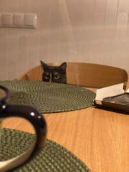 2d825bd4-9c3d-497c-b467-a94d06590438