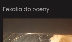 e08d7f05-6dc7-4e8b-9f89-2818ade54415