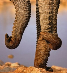 df90b137-7b17-444b-b251-8d603e0cc7d0