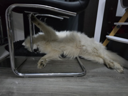 1f1541e1-bb8c-4e85-95ec-0d3bdf6c4f90