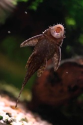 da967203-a979-476a-b17c-9cc05ba48bcf