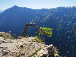 1b6622c3-0aa2-4a5e-a503-ec5728ef0977