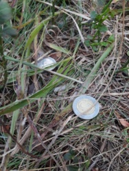 eb029be8-2634-43d5-835d-68ae76a5abfa