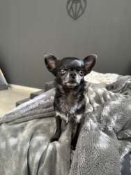 3421151f-4b20-4ba7-9972-45b430a06aeb