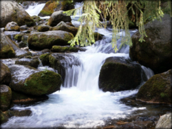 97695729-727b-4078-938c-3d48715f7bb2