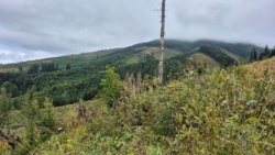 263ef887-a7ac-4387-9400-38b8a7d5bf6c