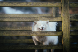 6c06a31f-36fd-4f87-afb9-0aaf7e1cee94