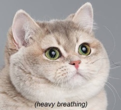 a4579fa6-d57a-48b9-bb83-a2cbfc7b014a