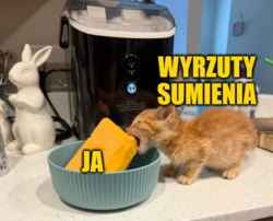 1ec5601f-3b47-443d-88a9-ea3d7317c92a