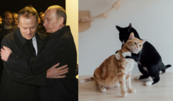 53231cd9-cf62-4b67-94da-73ce21270d0a