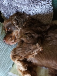 8e1b64c3-af81-464e-876d-b1b1c7b9d951