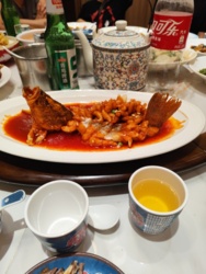 ed9fa5c6-799b-4bb4-9df4-f4ea29278458