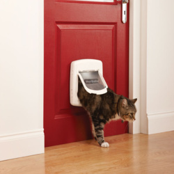 a2131038-4793-4dad-96da-82bcd30ff6b1