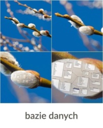 4056cb1c-8dc8-4b81-882f-3546149a2113