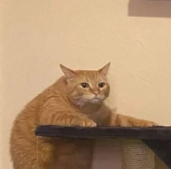 50aae9d7-911c-44a8-a9be-d9536e5fffa9