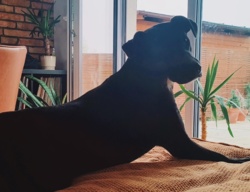 210b3bd3-4513-4f72-95bd-d013054adf40