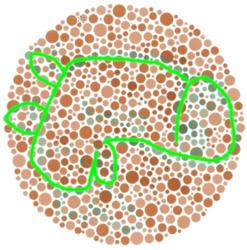 28b3eea4-559e-4b6e-ba65-baf81fa86d3d