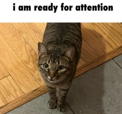 79793300-7731-4292-9901-ce849fc8f2ea