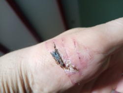 18de9f78-2925-428e-9bf2-33cd85c8bc16