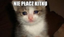 0d1324e2-b0b1-4caf-acc9-301e943b1377