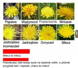 cc818786-1f3b-4018-9a26-d070e9c9ffe8