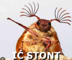 d72af71d-db4b-472a-93ee-3b6614c37eb7